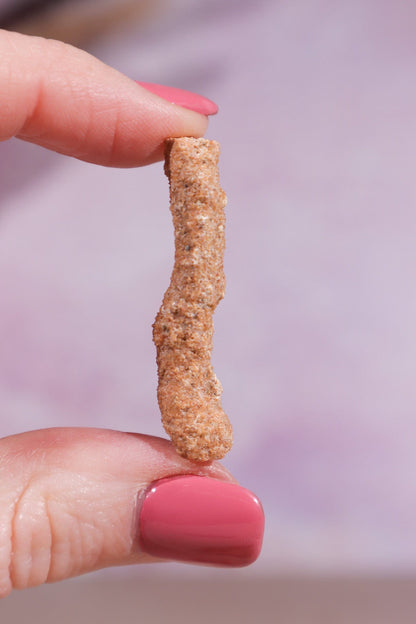 Fulgurite Small Minerals Tali & Loz Crystals