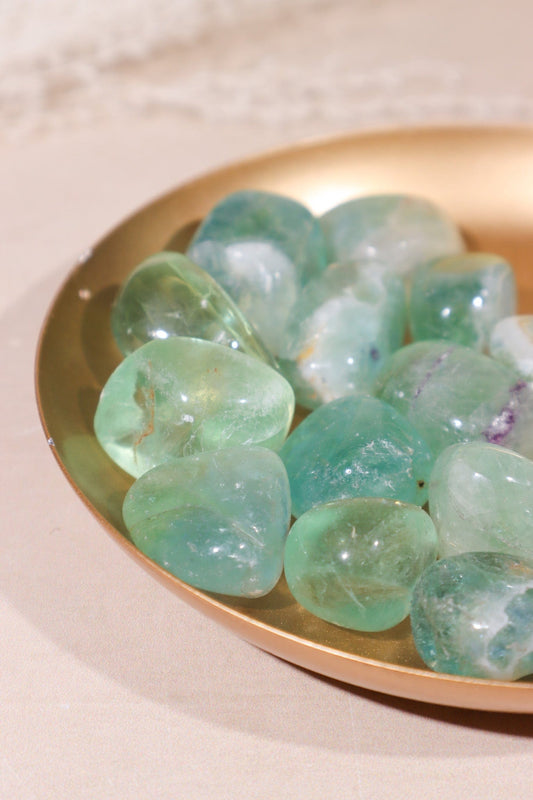 Green Fluorite Tumblestones 20-30mm Tumblestones Tali & Loz Crystals