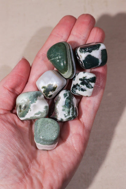 Green Sardonyx Tumblestones 15-25 mm Tumblestones Tali & Loz Crystals