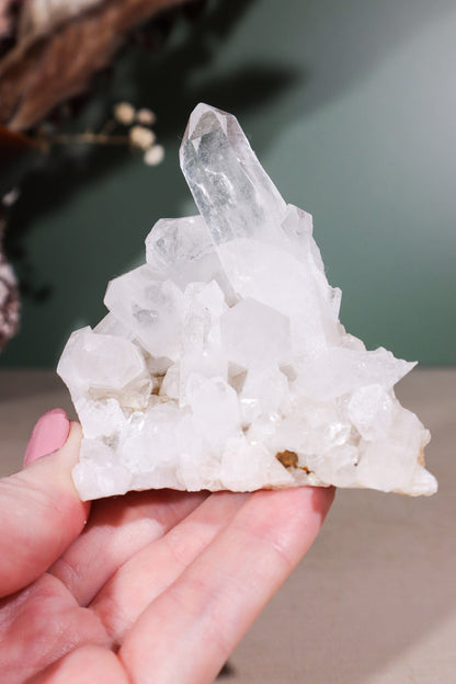 Himalayan Samadhi Quartz Cluster 0.18kg Clusters Tali & Loz Crystals