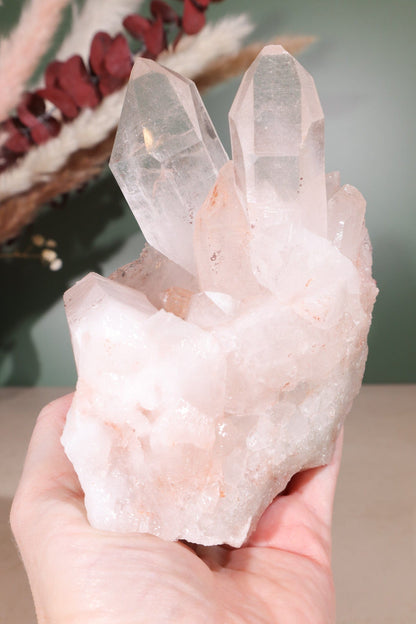 Himalayan Samadhi Quartz Cluster 0.9kg Clusters Tali & Loz Crystals