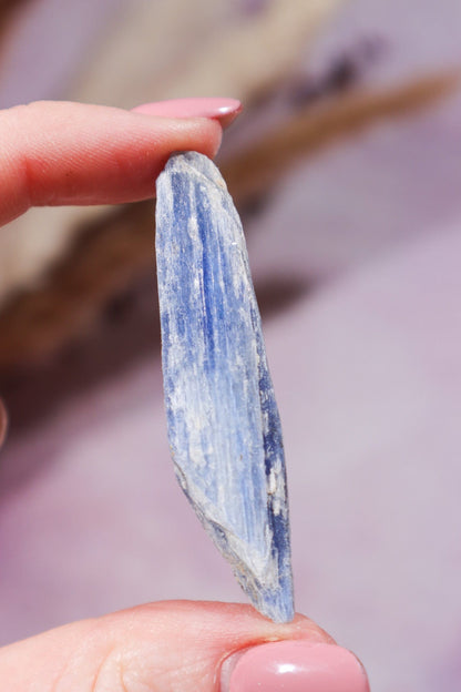 Kyanite Blades 20-50mm (3 Pieces) - Tali & Loz Crystals