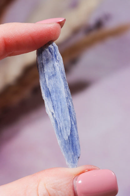 Kyanite Blades 20-50mm (3 Pieces) - Tali & Loz Crystals