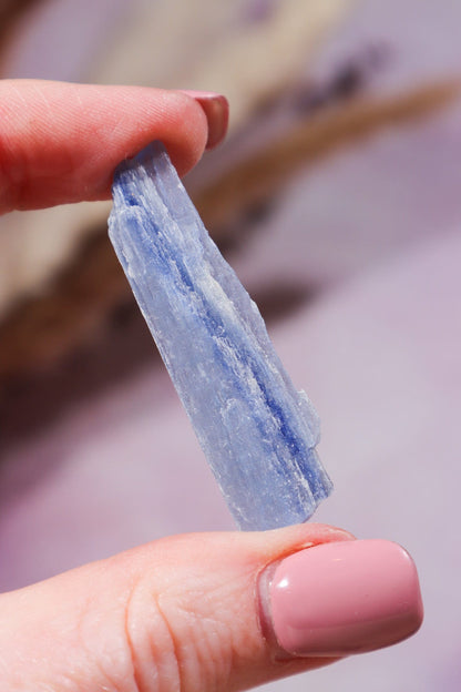 Kyanite Blades 20-50mm (3 Pieces) Rough Crystals Tali & Loz