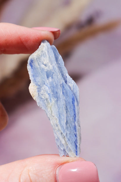 Kyanite Blades 20-50mm (3 Pieces) - Tali & Loz Crystals