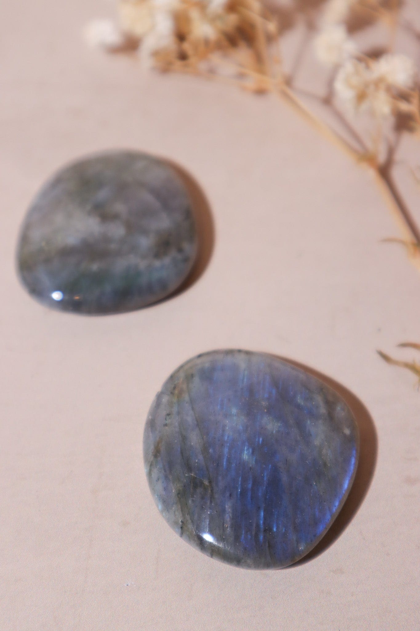 Labradorite Palmstones 4cm Palmstones Tali & Loz Crystals