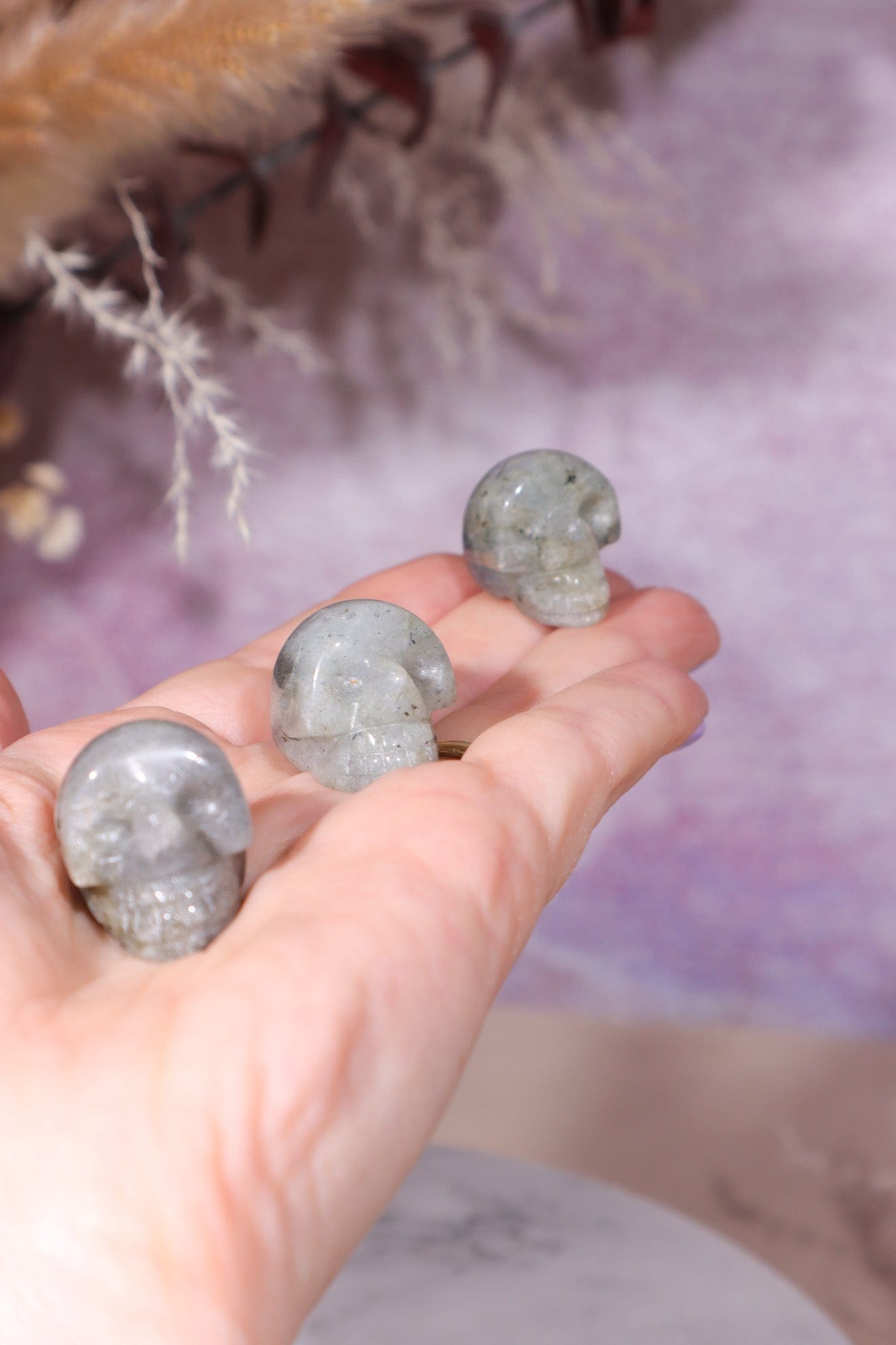 Labradorite Skulls 2cm Skulls Tali & Loz Crystals