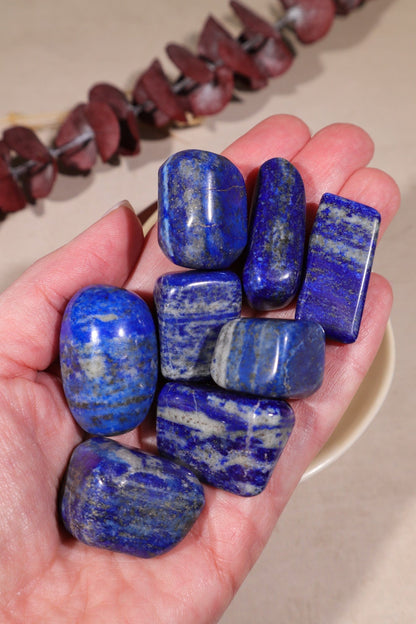 Lapis Lazuli Tumblestones Large 20-30 mm Tumblestones Tali & Loz