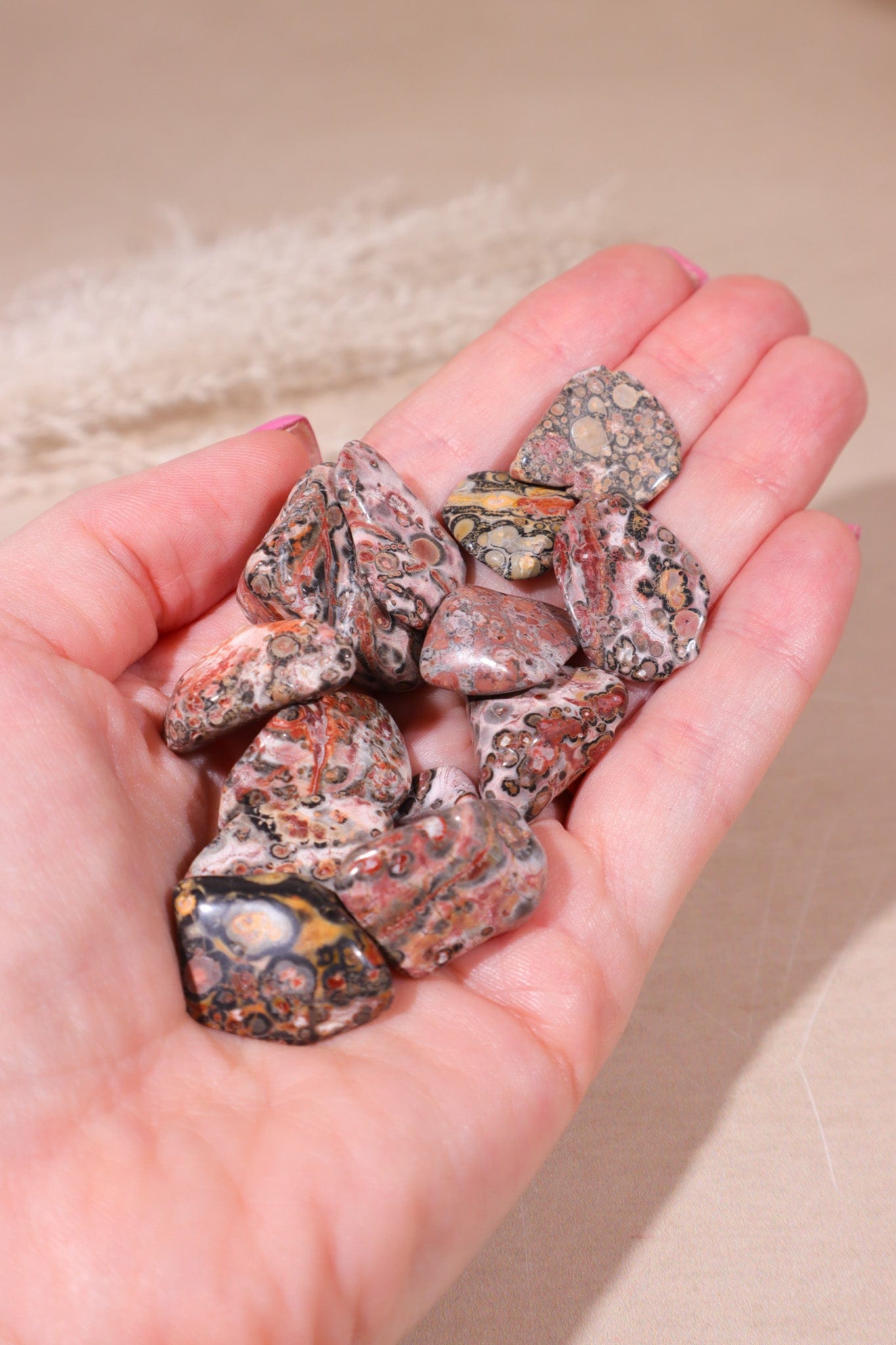 Leopard Skin Jasper Tumblestones 20-30mm Tumblestones Tali & Loz Crystals