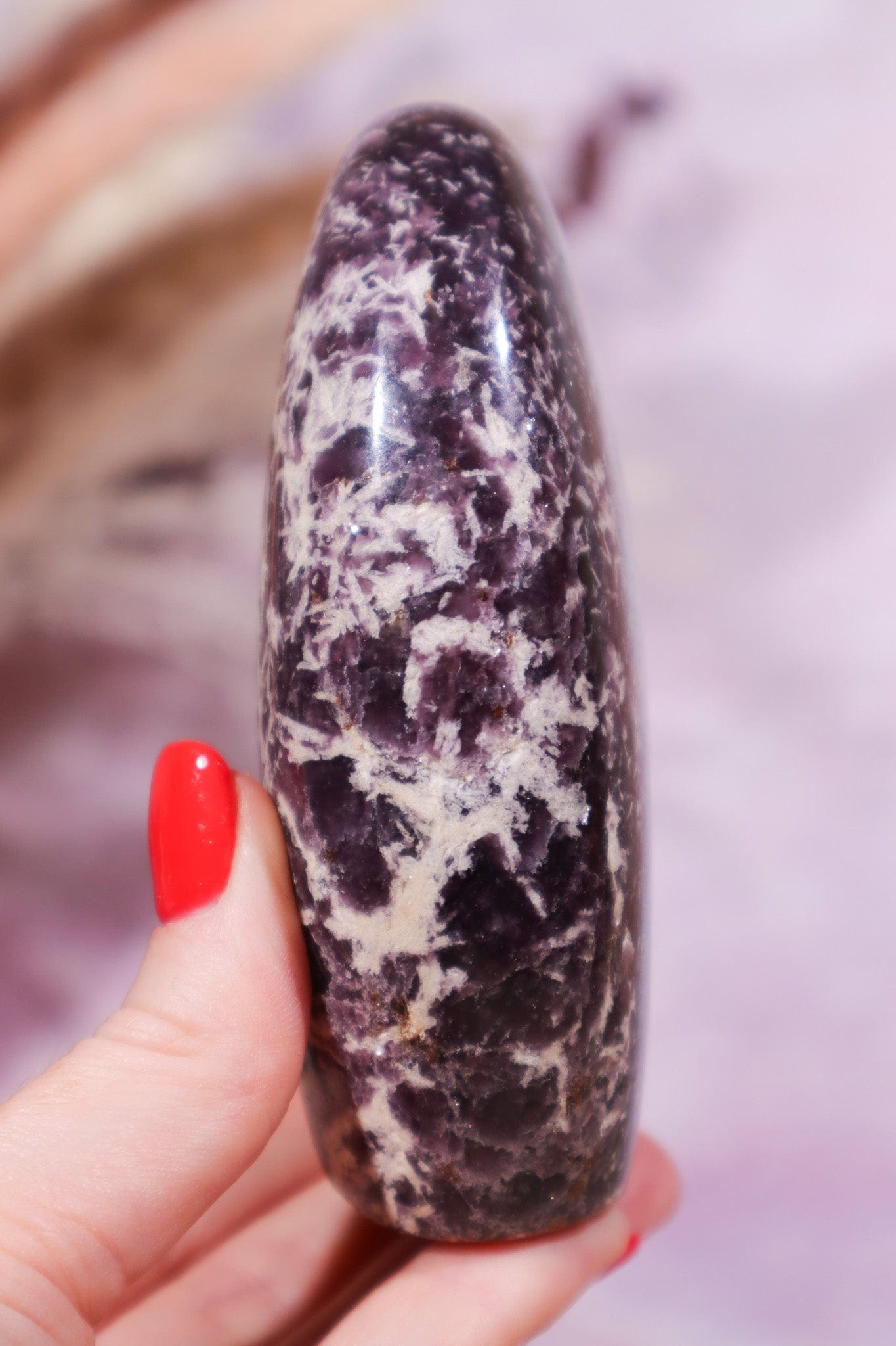 Lepidolite Freeform 0.4kg Freeform Tali & Loz Crystals