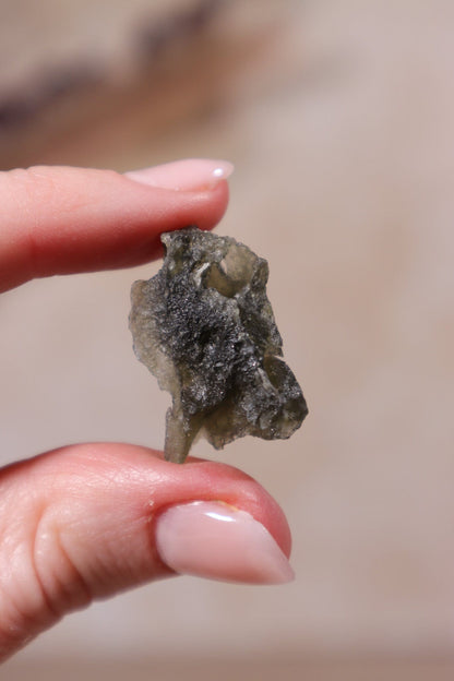 Moldavite Tektite 2.88gr Tektites Tali & Loz Crystals