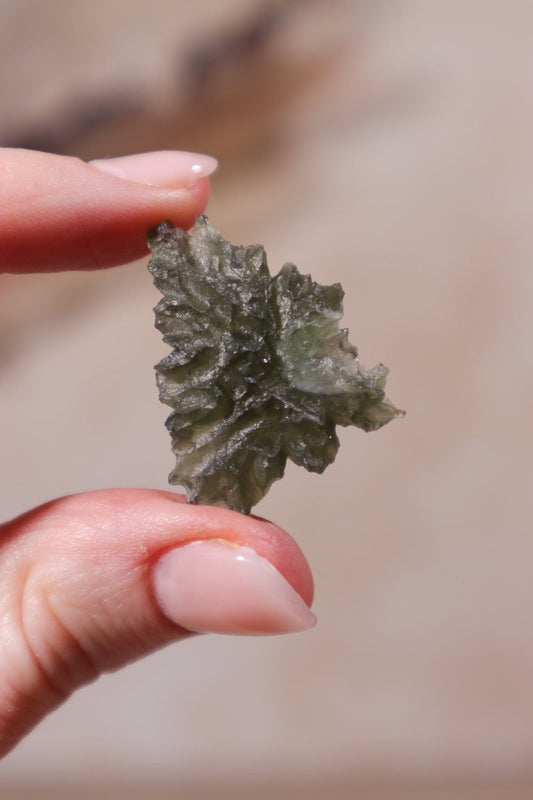 Moldavite Tektite 3.11gr Museum Grade Tektites Tali & Loz Crystals