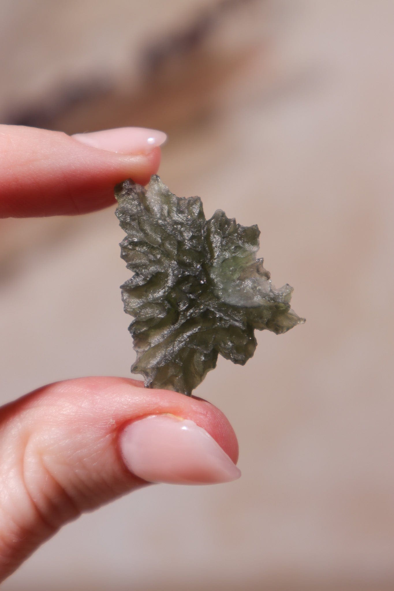 Moldavite Tektite 3.11gr Museum Grade Tektites Tali & Loz Crystals