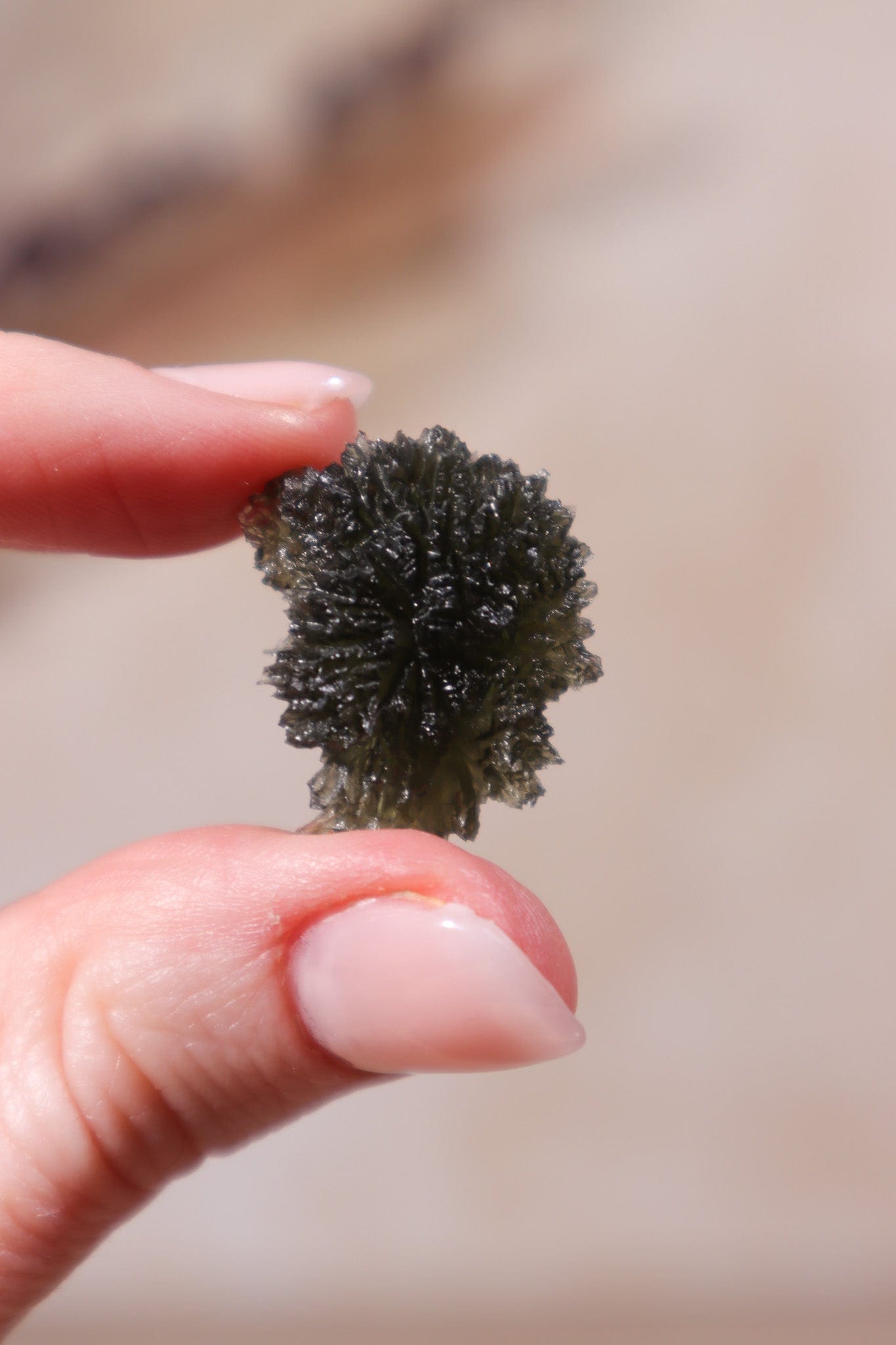 Moldavite Tektite 4.73gr Museum Grade Tektites Tali & Loz Crystals