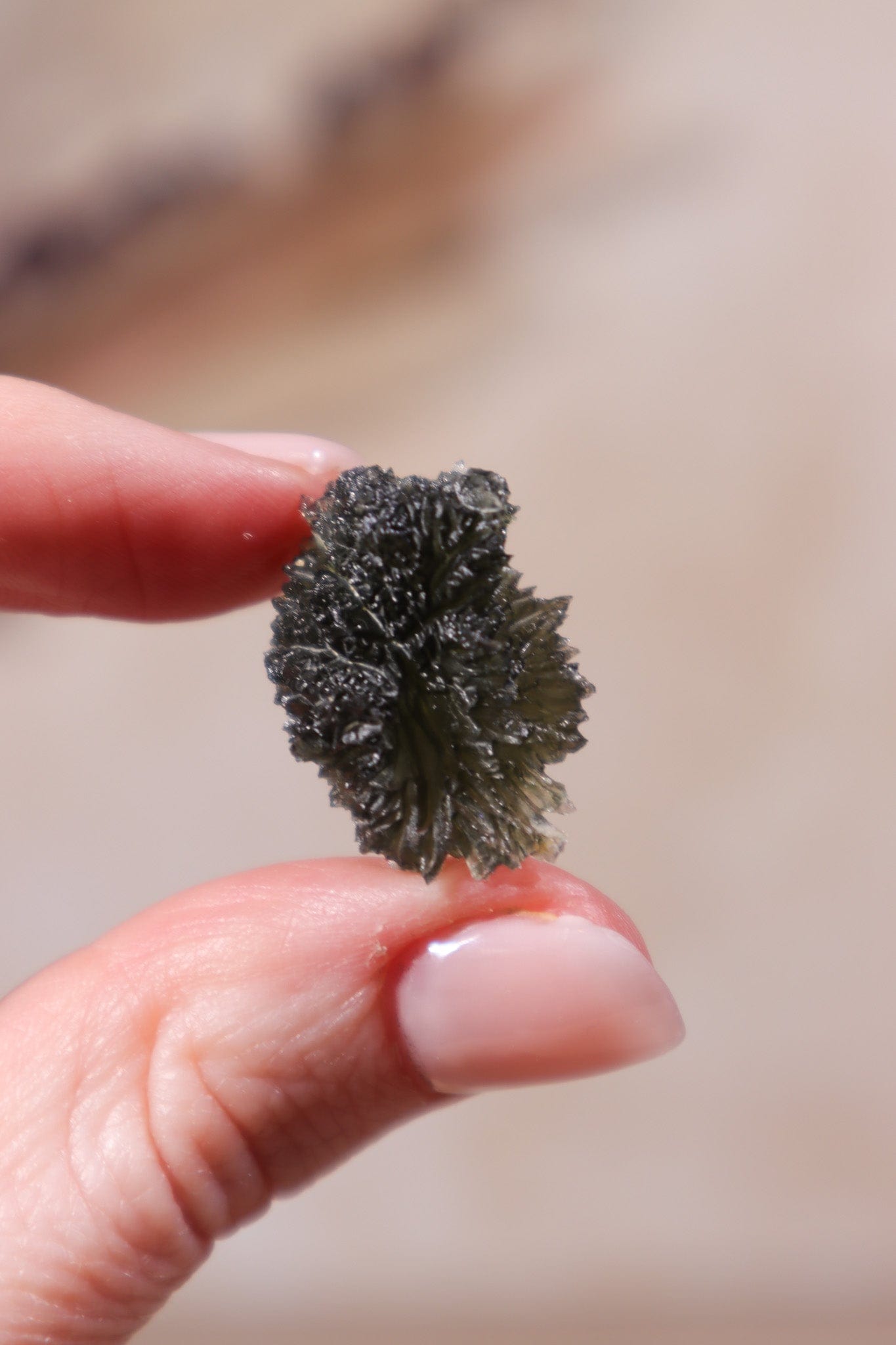 Moldavite Tektite 4.73gr Museum Grade Tektites Tali & Loz Crystals