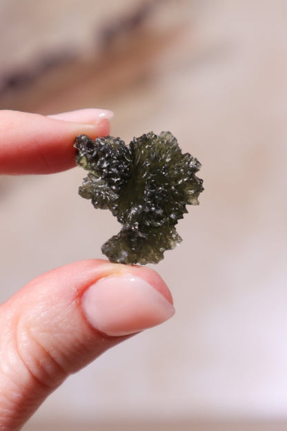 Moldavite Tektite 5.14gr Museum Grade Tektites Tali & Loz Crystals