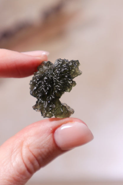 Moldavite Tektite 5.14gr Museum Grade Tektites Tali & Loz Crystals