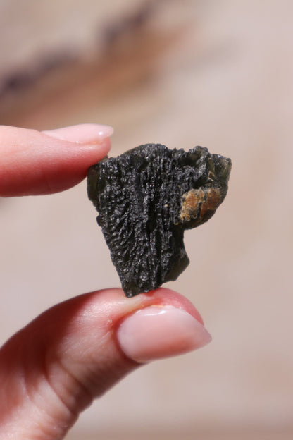 Moldavite Tektite 8.04gr Tektites Tali & Loz Crystals