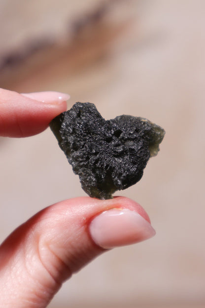 Moldavite Tektite 8.04gr Tektites Tali & Loz Crystals