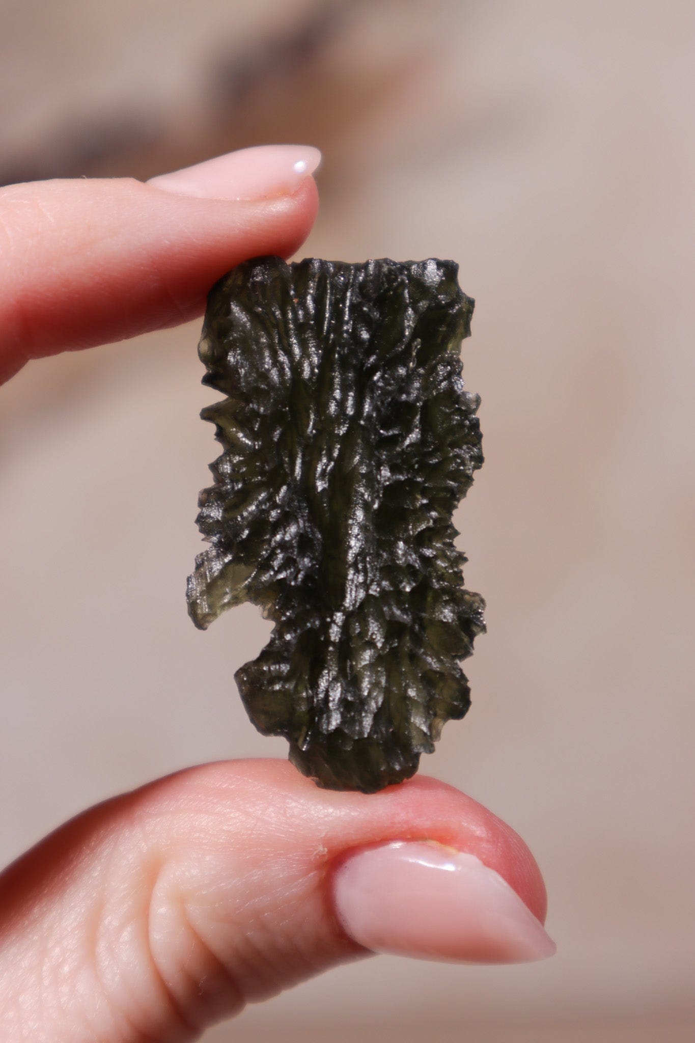 Moldavite Tektite 8.29gr Museum Grade Tektites Tali & Loz Crystals