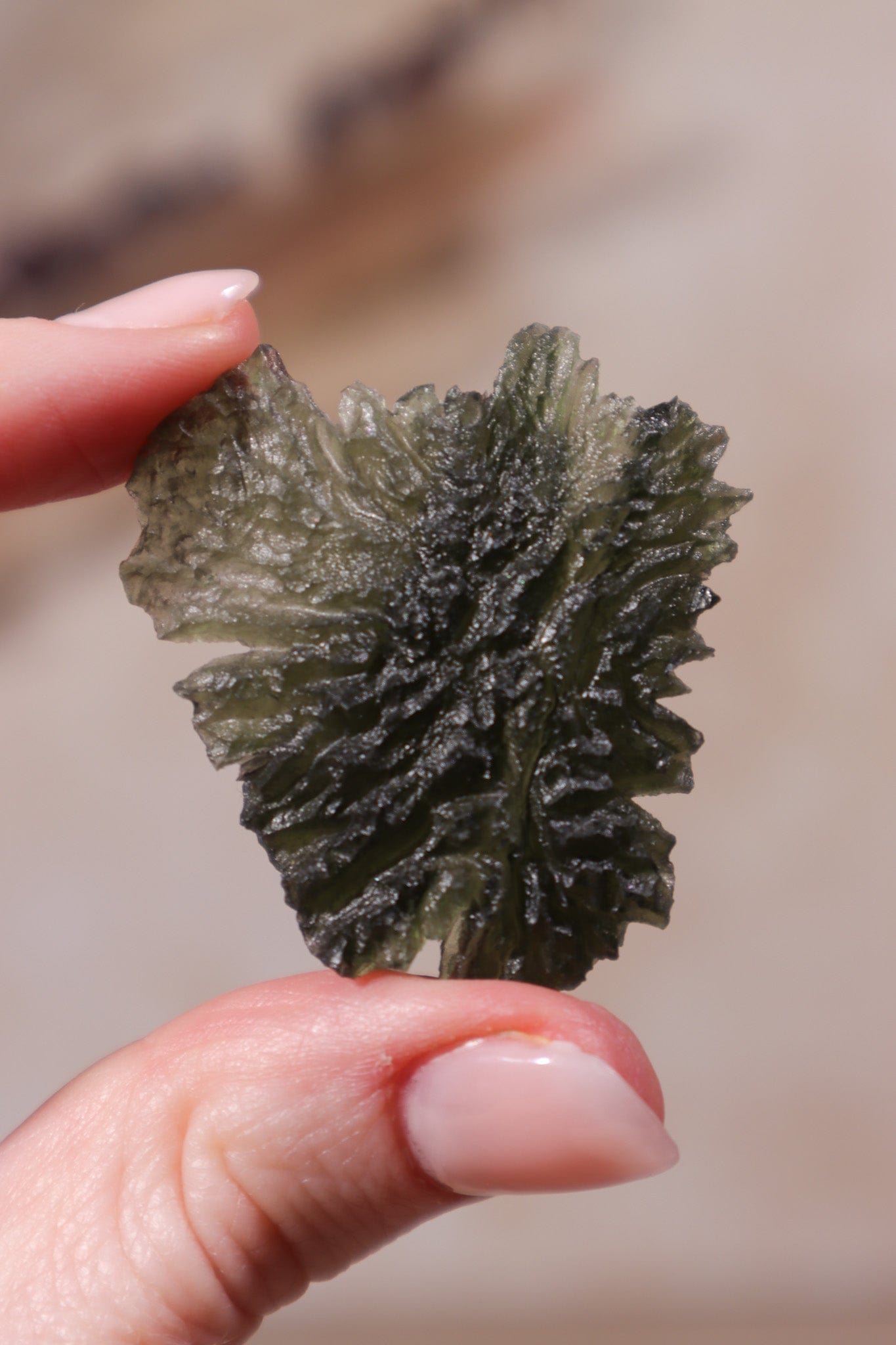 Moldavite Tektite 8.42gr Museum Grade Tektites Tali & Loz Crystals