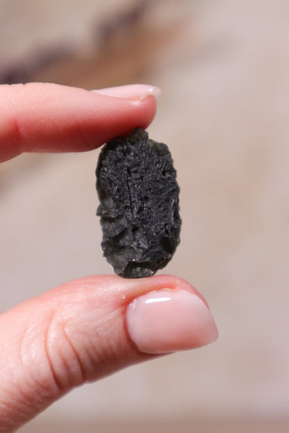 Moldavite Tektite 9.25gr Tektites Tali & Loz Crystals