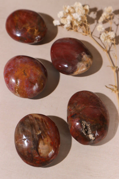 Petrified Wood Pebbles Large 80gr Pebbles Tali & Loz