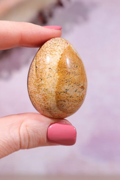 Pictured Jasper Egg 4cm Eggs Tali & Loz Crystals