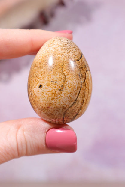 Pictured Jasper Egg 4cm Eggs Tali & Loz Crystals