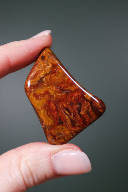 Pietersite Tumblestone 12.5gr Tumblestones Tali & Loz Crystals