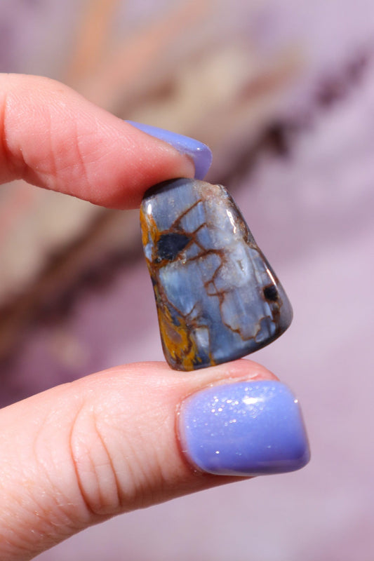 Pietersite Tumblestone 5.49gr Tumblestones Tali & Loz Crystals