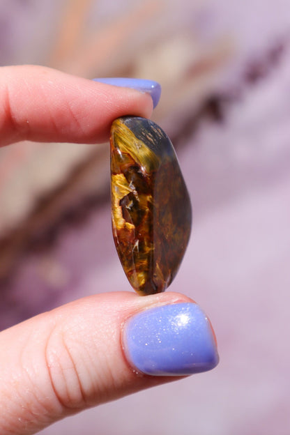 Pietersite Tumblestone 9.5gr Tumblestones Tali & Loz Crystals