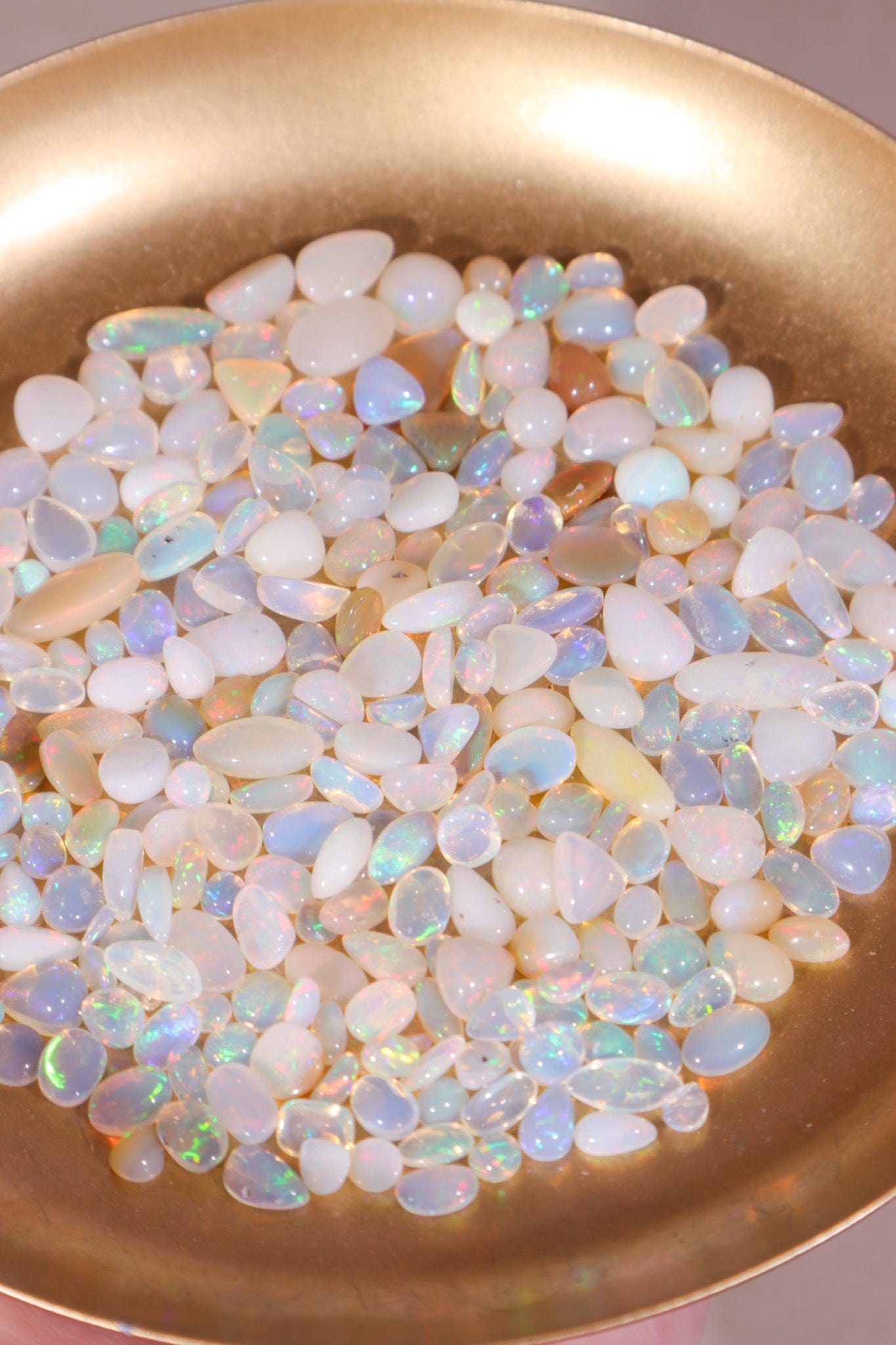 Polished Opal Pieces Rocks & Fossils Tali & Loz Crystals