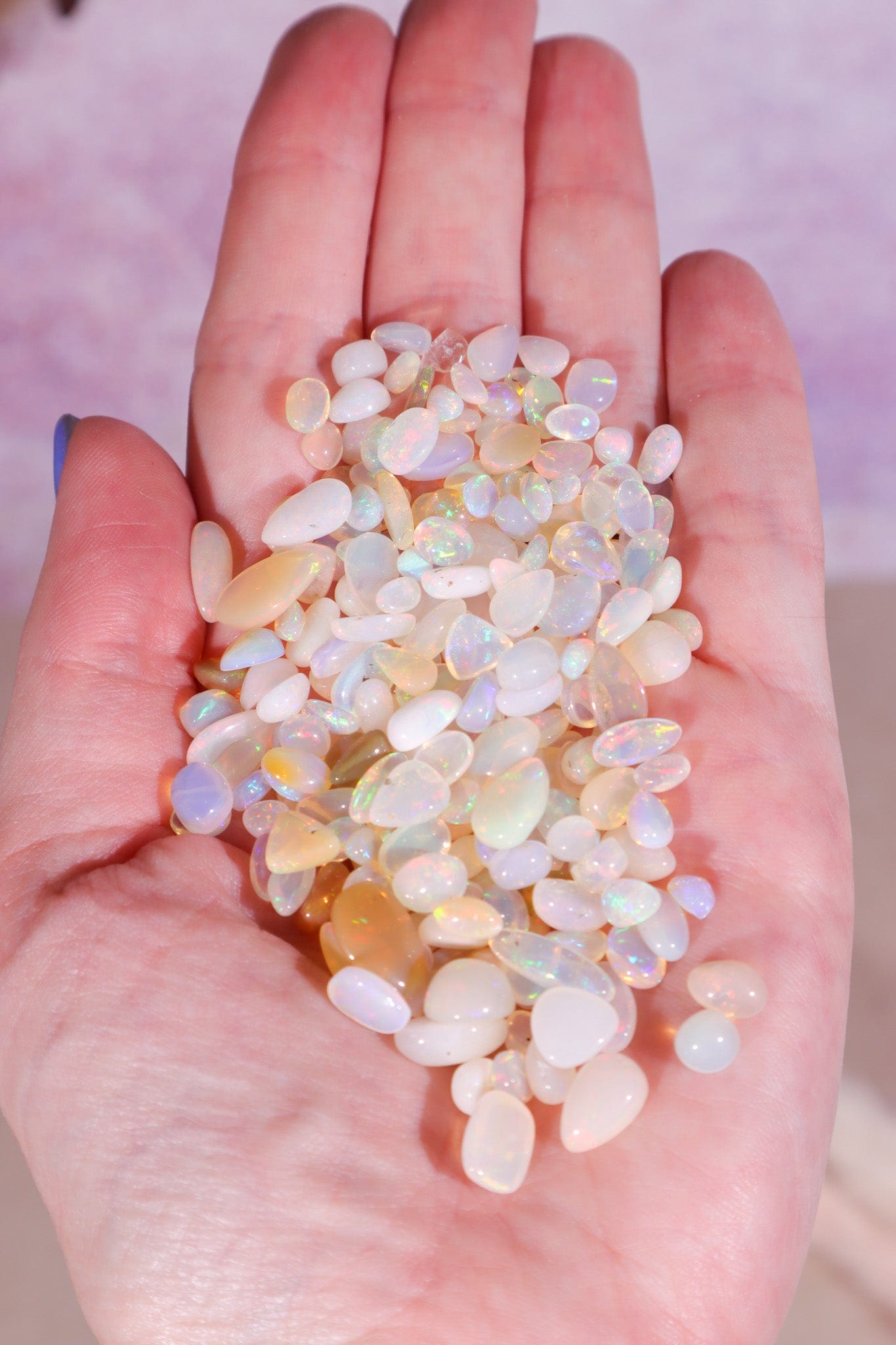 Polished Opal Pieces Rocks & Fossils Tali & Loz Crystals