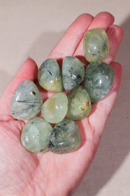 Prehnite Tumblestones 20-30mm Tumblestones Tali & Loz Crystals