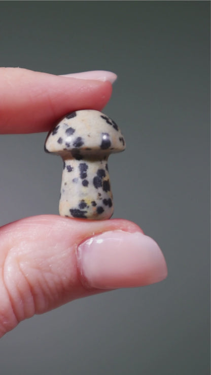 Dalmatian Jasper Mushrooms 20mm