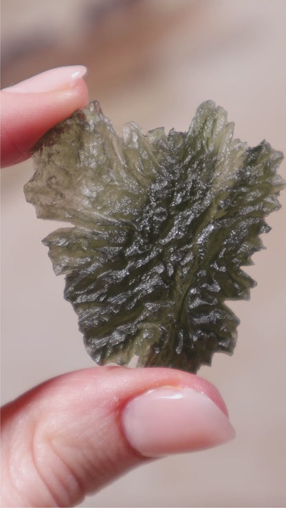 Moldavite Tektite 8.42gr Museum Grade