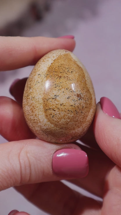 Pictured Jasper Egg 4cm