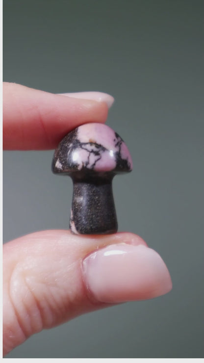 Rhodonite Mushrooms 20mm