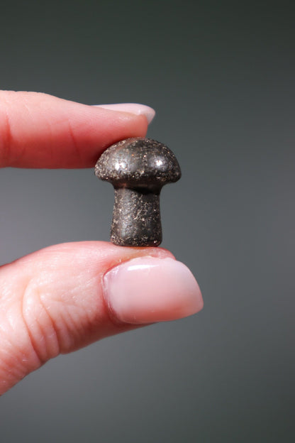 Pyrite Mushrooms 20mm Mushrooms Tali & Loz