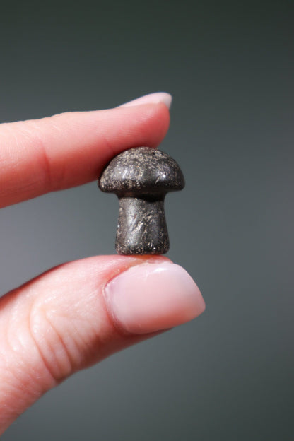 Pyrite Mushrooms 20mm Mushrooms Tali & Loz