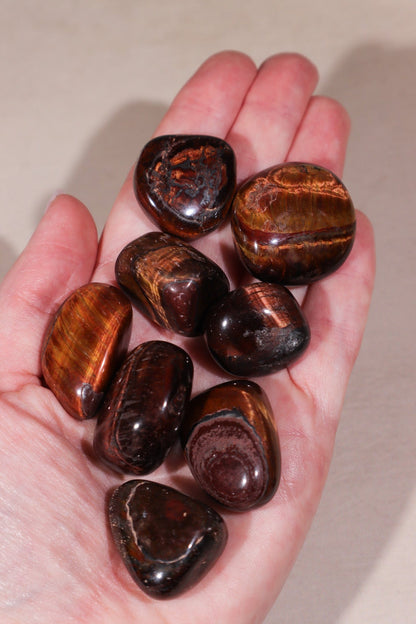 Red Tigers Eye Tumblestones Large 25-35 mm Tumblestones Tali & Loz