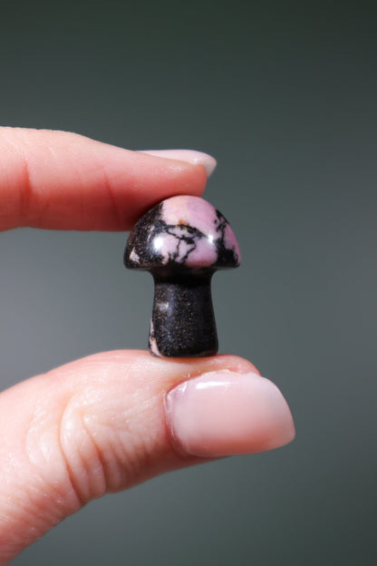 Rhodonite Mushrooms 20mm - Tali & Loz Crystals