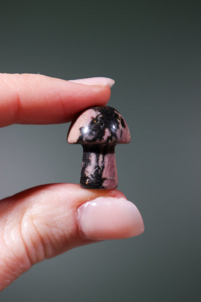 Rhodonite Mushrooms 20mm - Tali & Loz Crystals