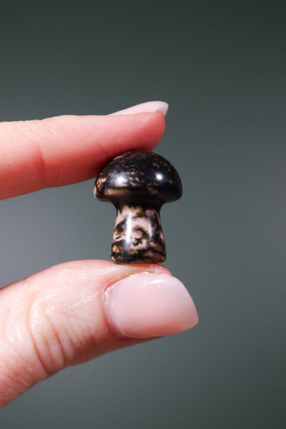 Rhodonite Mushrooms 20mm - Tali & Loz Crystals