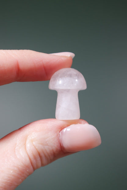 Rose Quartz Mushrooms 20mm Mushrooms Tali & Loz