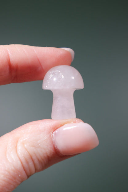 Rose Quartz Mushrooms 20mm Mushrooms Tali & Loz