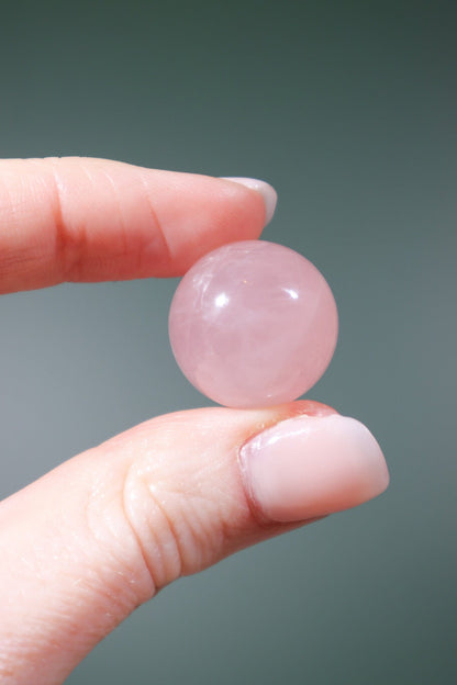 Rose Quartz Spheres Spheres Tali & Loz Crystals