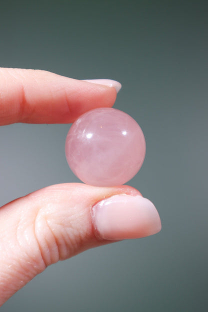 Rose Quartz Spheres Spheres Tali & Loz Crystals