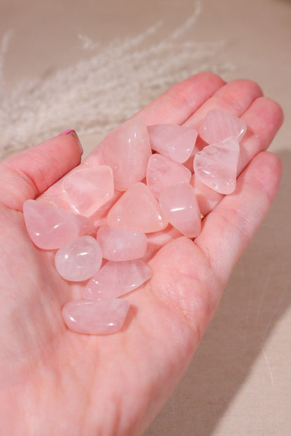 Rose Quartz Tumblestones 10-25mm Tumblestones Tali & Loz Crystals